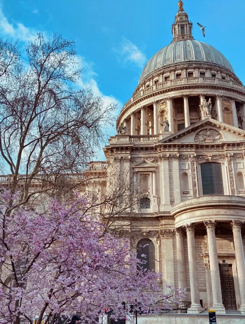 纽约州立大学石溪分校